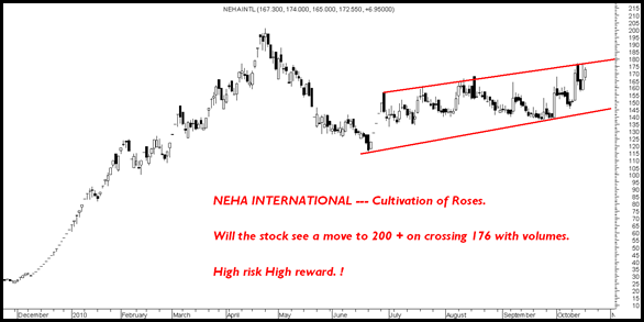 NehaIntl