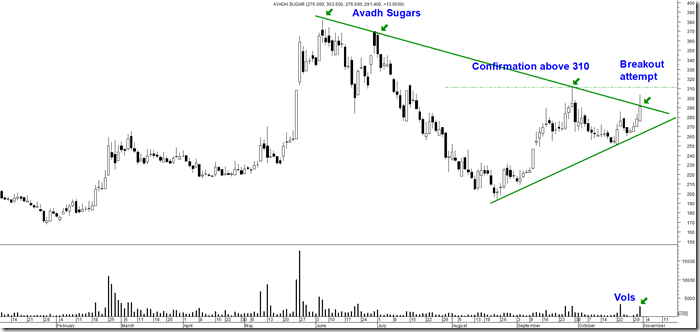 Avadh Sugars