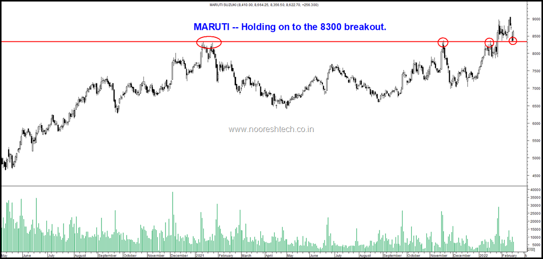 Maruti dip